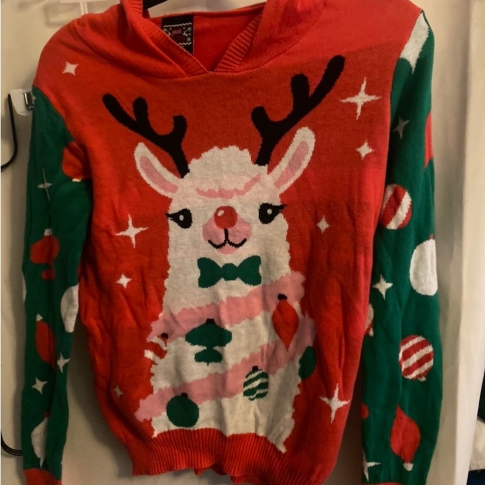 Festive Reindeer Kids Sweater - Red and Green